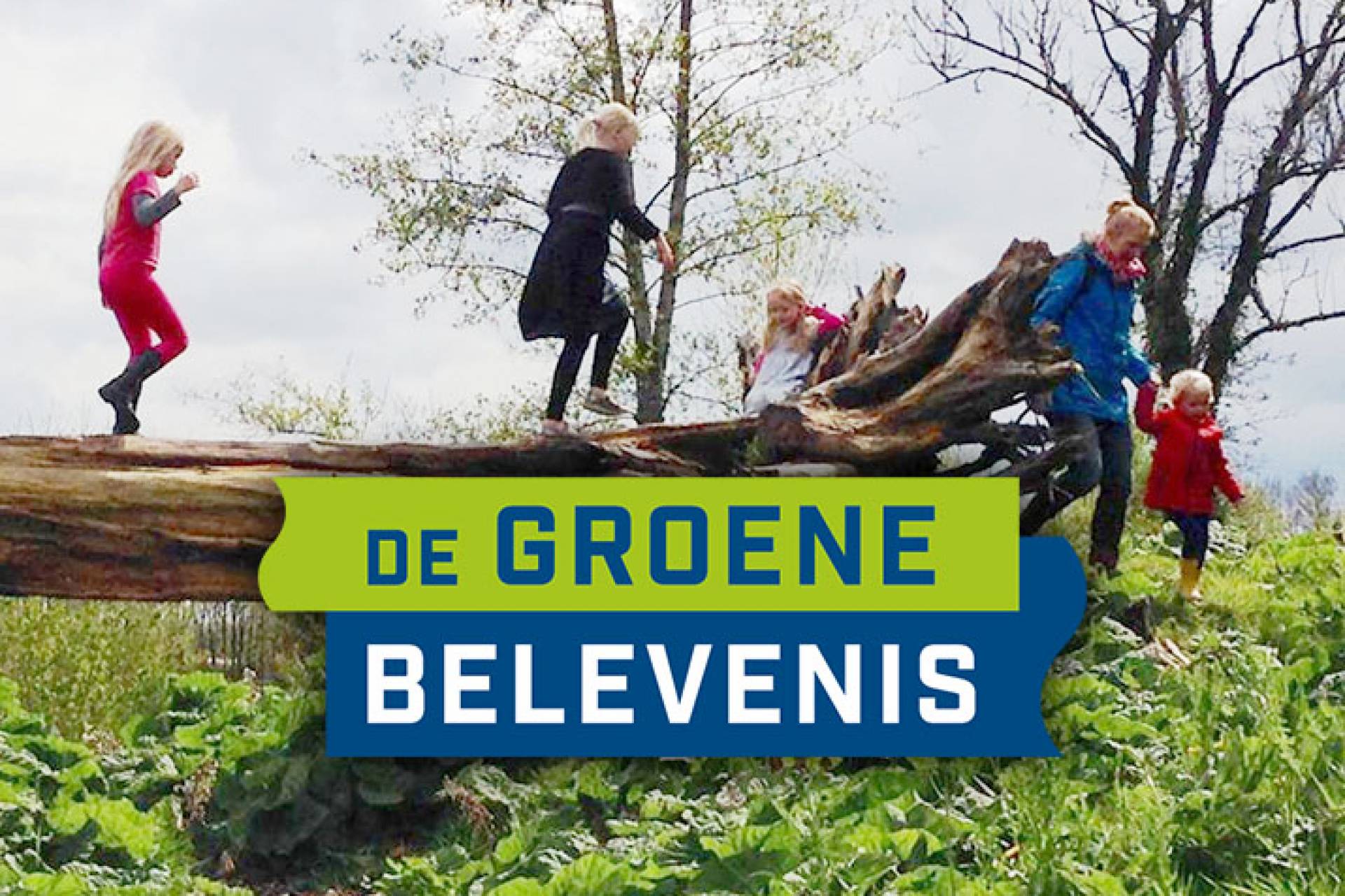 degroenebelevenis-2